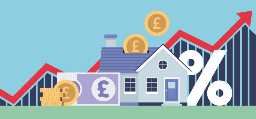 31st January 2025 header image